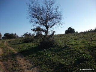 tapiccola-13-01-2013 09-17-18